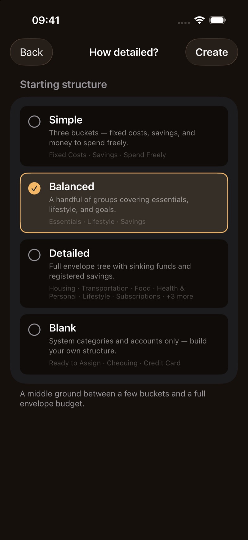 How detailed, with Simple, Balanced, Detailed, and Blank. Balanced is selected.